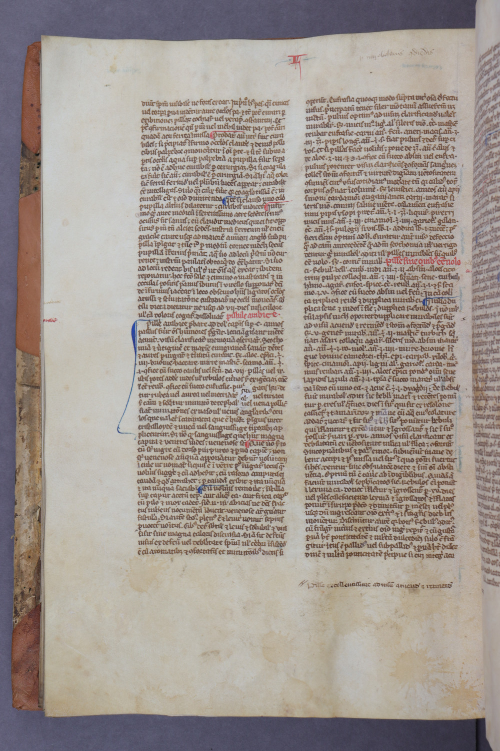 Folio 64 verso